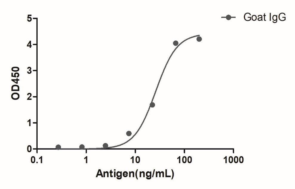 Anti-Goat IgG(Fcγ Fragment specific), AlpHcAbs® Rabbit antibody(HRP)