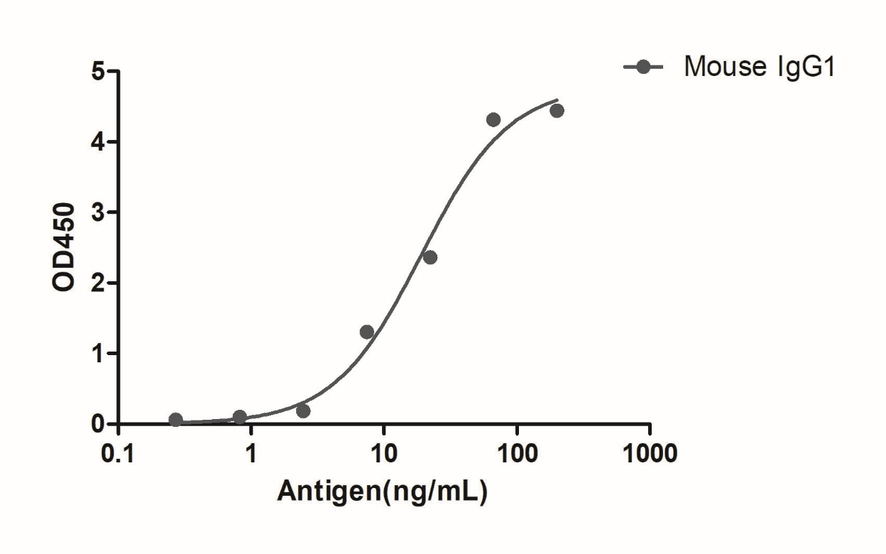 Anti-Mouse IgG1(Fcγ Fragment specific), AlpSdAbs® VHH(HRP)