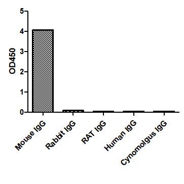 Anti-Mouse IgG(H+L), AlpHcAbs® Goat antibody
