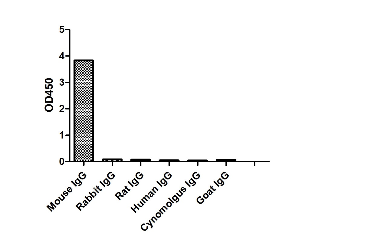 Anti-Mouse IgG(H+L), AlpHcAbs® Goat antibody(HRP)