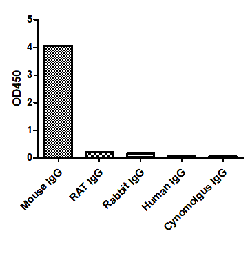 Anti-Mouse IgG(Fcγ Fragment specific), AlpHcAbs® Goat antibody