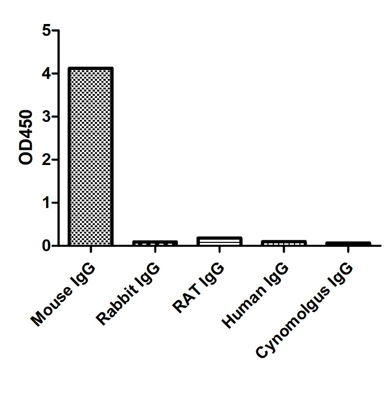 Anti-Mouse IgG2a(Fcγ Fragment specific), AlpHcAbs® Goat antibody