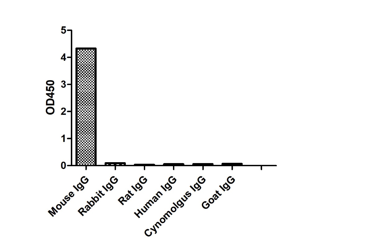 Anti-Mouse IgG2a(Fcγ Fragment specific), AlpHcAbs® Goat antibody(HRP)