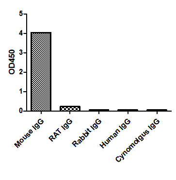 Anti-Mouse IgG kappa, AlpHcAbs® Goat antibody
