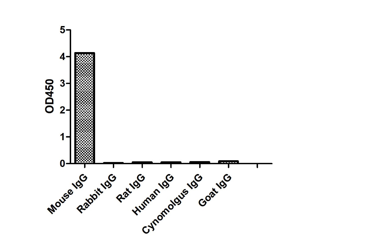 Anti-Mouse IgG kappa, AlpHcAbs® Goat antibody(Biotin)