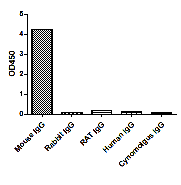 Anti-Mouse IgG1(Fcγ Fragment specific), AlpHcAbs® Goat antibody(Biotin)