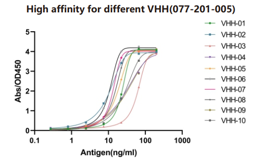 Anti-VHH, AlpHcAbs® Rabbit antibody(HRP)