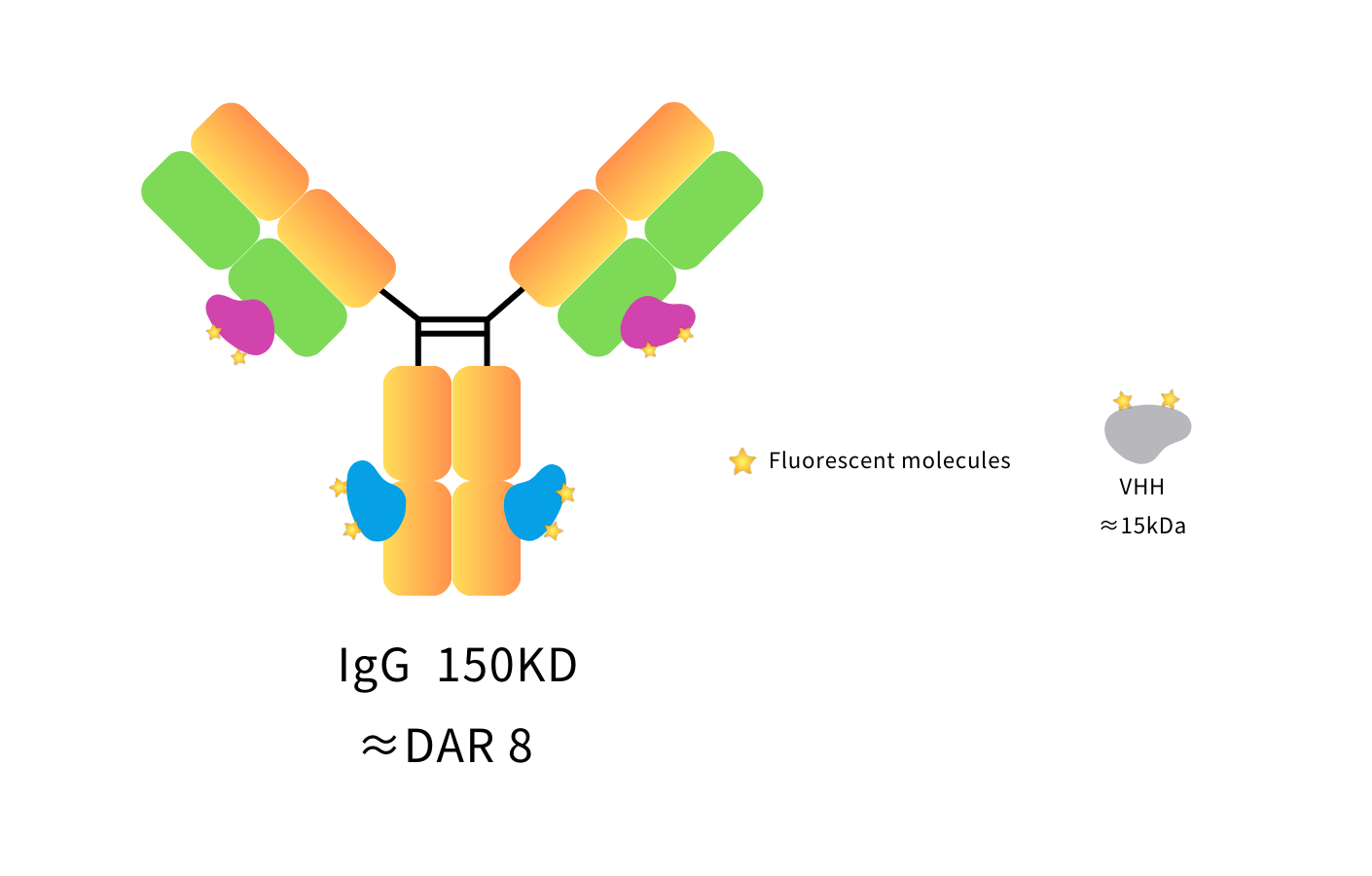 Anti-Goat IgG(H+L), AlpSdAbs® VHH(iFluor488 ×8)