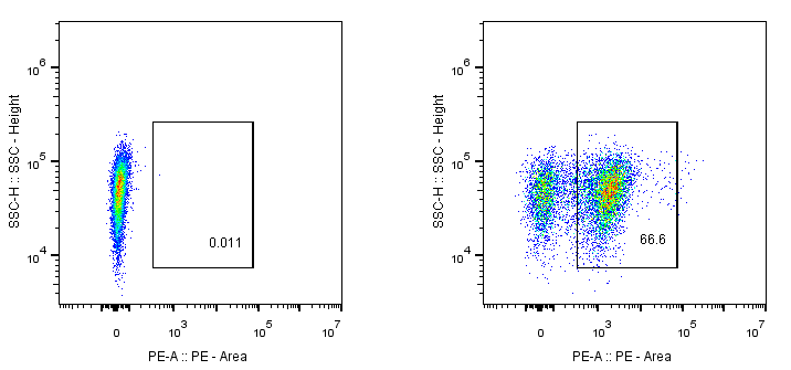 Anti-GGGGS Linker, AlpHcAbs® Rabbit antibody(PE)