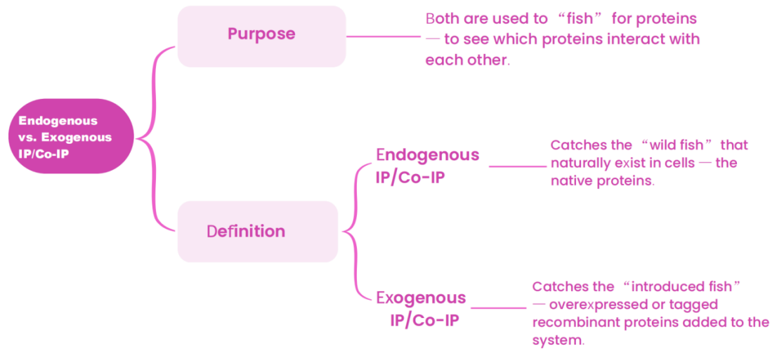 20251016100924151.png 1.png