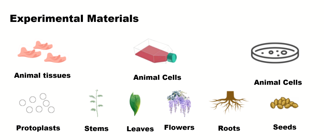 20251030172420148.png 3.png