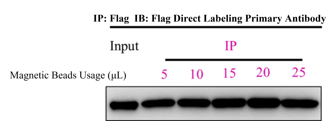 20251120141925153.png 1.png