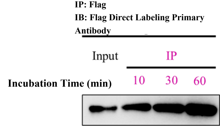 20251120142009104.png 2.png