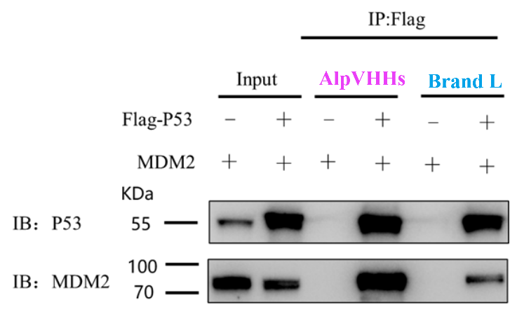 20251120142455117.png 5.png