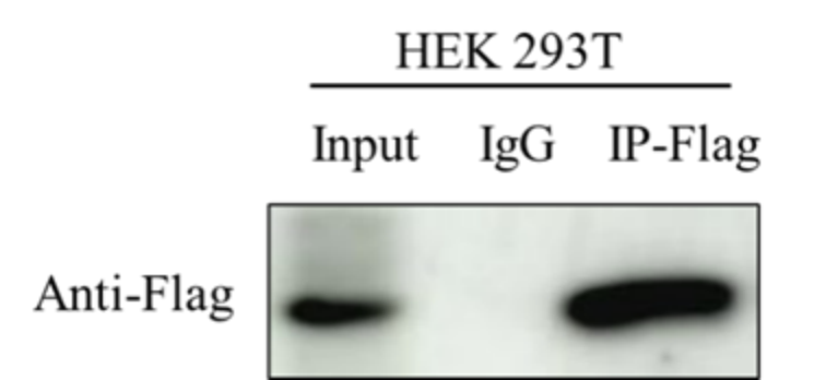 20251120142518168.png 4.png