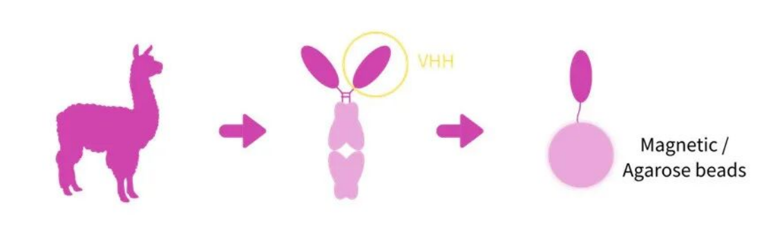 20251120142942167.png 6.png