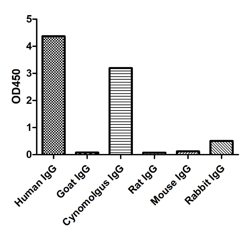 ELISA of specificity for different species of IgG-Anti-Human IgG(Fcγ fragment specific), AlpSdAbs® VHH(HRP) 


