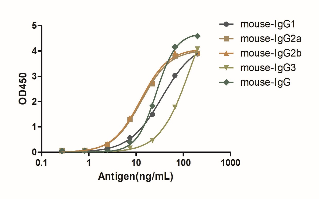 A titer ELISA of mouse IgG-Anti-Mouse IgG(Fcγ Fragment specific), AlpHcAbs® Goat antibody  