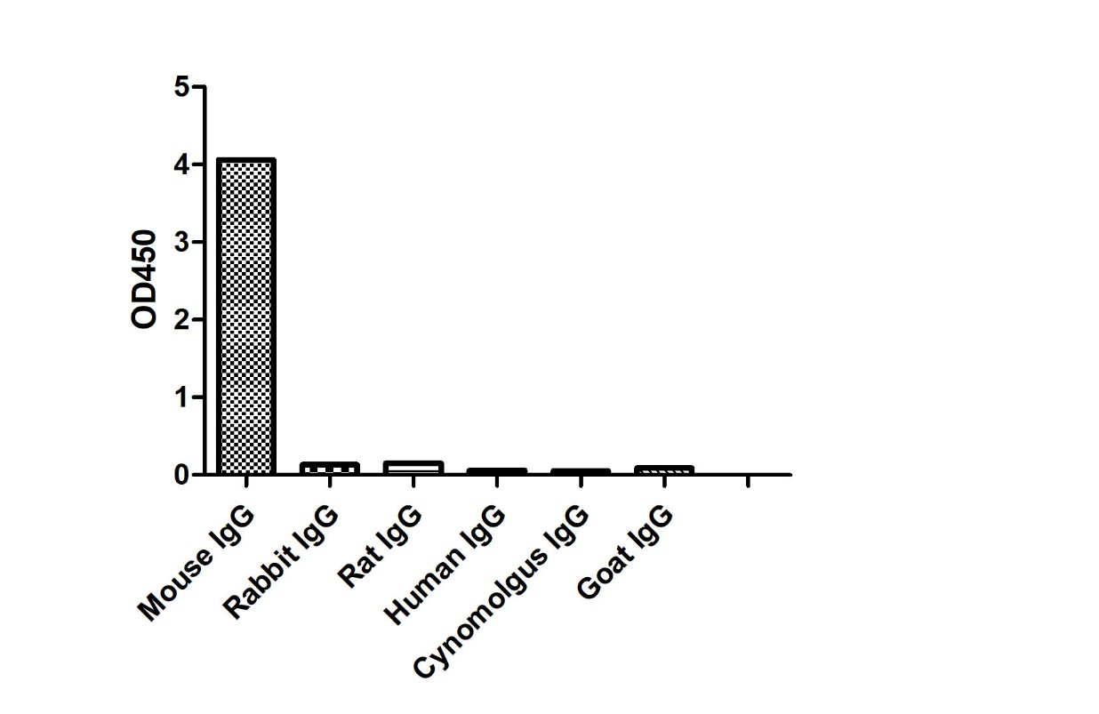 ELISA of specificity for different species of IgG-Anti-Mouse IgG(Fcγ Fragment specific), AlpHcAbs® Goat antibody(Biotin)  