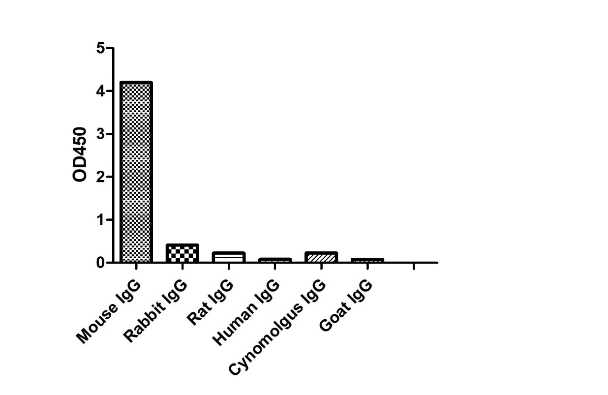 ELISA of specificity for different species of IgG-Anti-Mouse IgG1(Fcγ Fragment specific), AlpHcAbs® Goat antibody(HRP) 