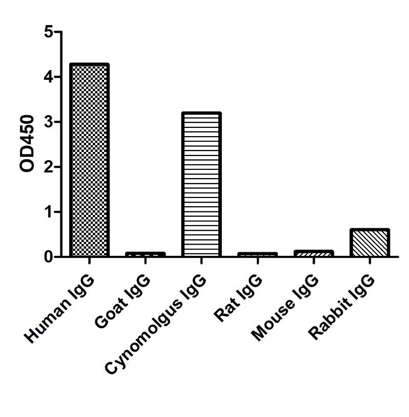 ELISA of specificity for different species of IgG-Anti-Human IgG(Fcγ fragment specific), AlpSdAbs® VHH  