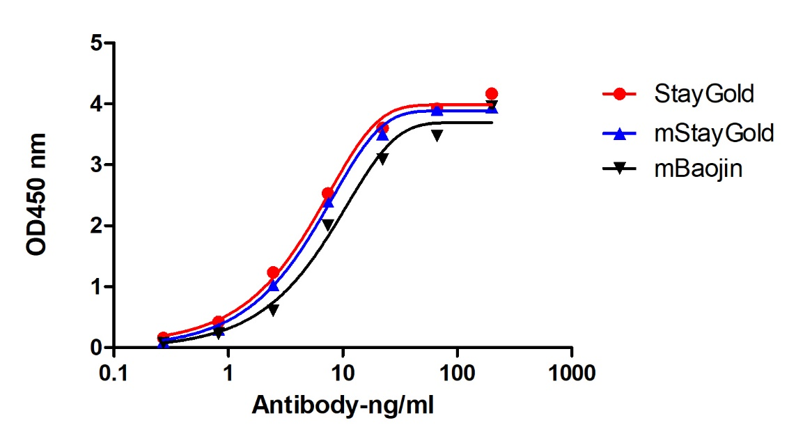 A titer ELISA of StayGold-Anti-StayGold, AlpSdAbs® VHH(HRP)